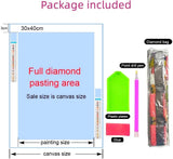 5D Diamond Art Painting Kits Beautiful Native American Woman Holding DIY Round Full Drill Diamond Paint by Diamond Number Kits for Beginners Crystal Cross Stitch Wall Decoration 30x40cm(3) WoodArtSupply