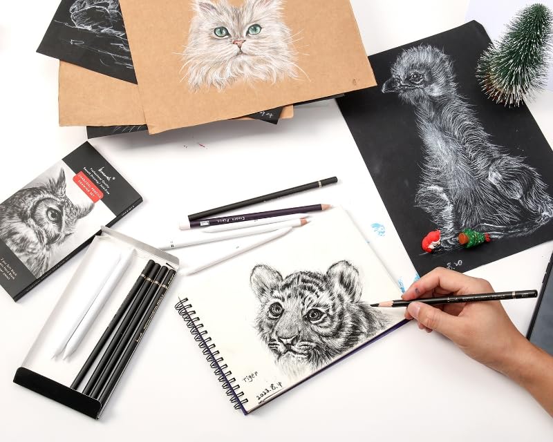 Brusarth Charcoal Drawing Set -12 pc Black charcoal pencils, White Charcoal Pencils, Eraser Pencils, Blending Stumps for Drawing, Sketching, Shading, Artist Pencils for Beginners & Artists Brusarth