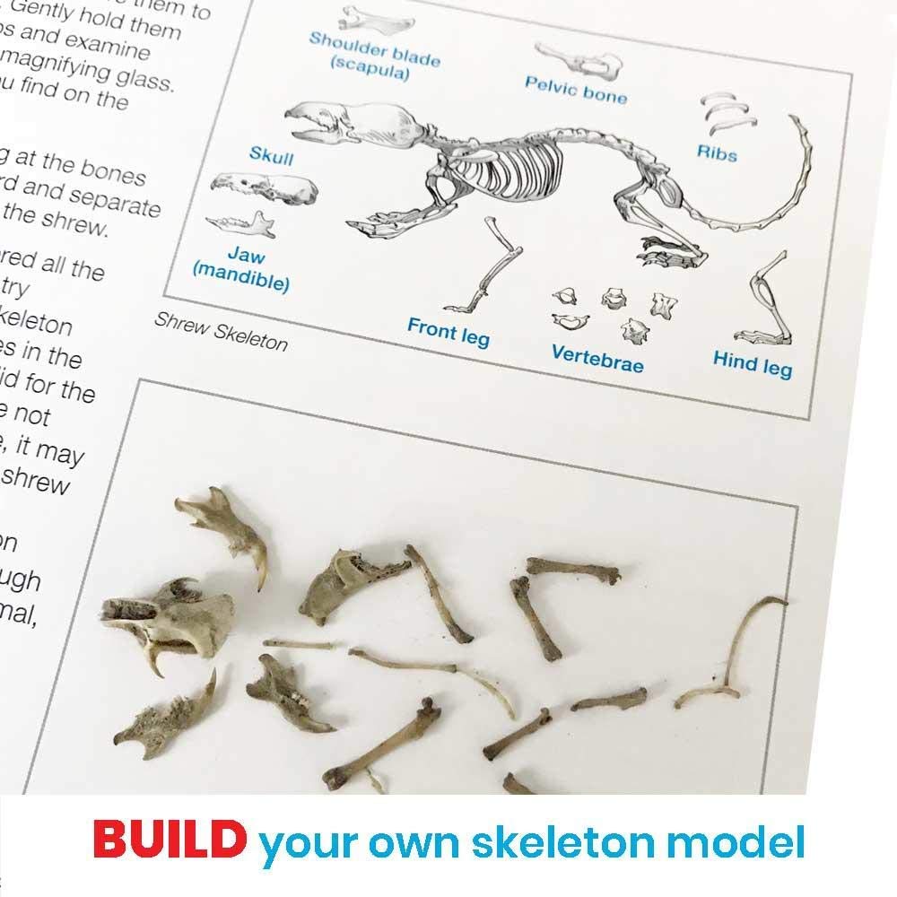 hand2mind Animal Science Kit for Kids 8-12, Kids Science Kit with Fact-Filled Guide, Learn About Animal Biology and Dissect Owl Pellets, STEM Toys, 10 Science Experiments hand2mind