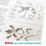 hand2mind Animal Science Kit for Kids 8-12, Kids Science Kit with Fact-Filled Guide, Learn About Animal Biology and Dissect Owl Pellets, STEM Toys, 10 Science Experiments hand2mind