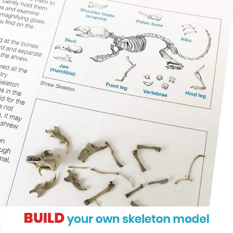 hand2mind Animal Science Kit for Kids 8-12, Kids Science Kit with Fact-Filled Guide, Learn About Animal Biology and Dissect Owl Pellets, STEM Toys, 10 Science Experiments hand2mind