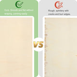 Blisstime 12 Pack 1/16 Basswood Sheets 12 x 12 Inch, 1.5mm Thin Plywood Sheets Balsa Wood Squares for Crafts, Unfinished Wood Blanks for Laser Cutting, Engraving, Wood Burning, Painting Blisstime