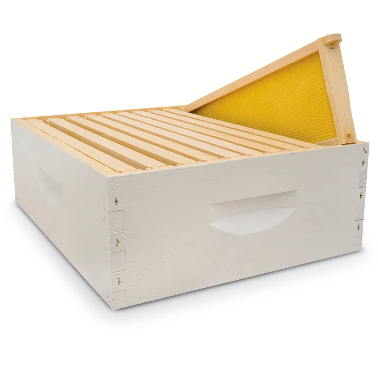 Mann Lake Hive Body Bundle, Assembled, 10-Frame, Painted, Beekeeping, Bee Box, Beekeeping Supplies, Harvest Honey, Includes 10 Assembled Frames w/Plastic Coated Foundation Mann Lake
