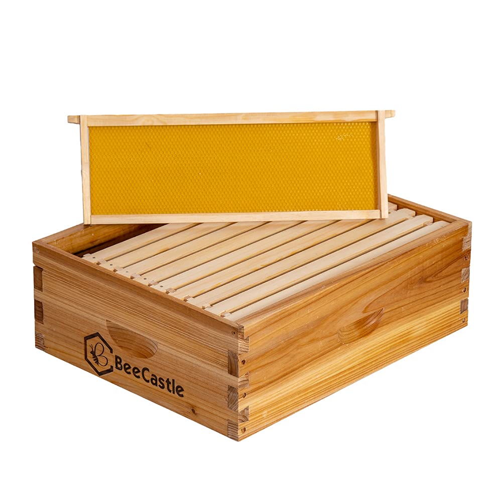 BeeCastle 10 Frame Medium Super Bee Hive Box, Langstroth Honey Bee Hive Dipped in 100% Beeswax Include Beehive Frames and Wax Foundations (Unassembled) - WoodArtSupply