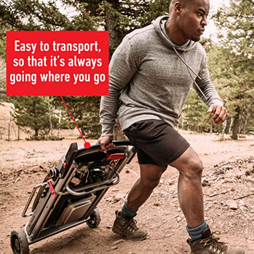 Weber Traveler Portable Gas Grill, Black Weber