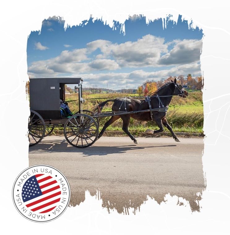 Poly Outdoor Glider - Premium Quality | Affordable Price - Amish Handcrafted in The USA - 20-year Warranty - All-Weather Resistant & Maintenance Free - Rollback Style (Weathered Wood/Black) WoodArtSupply