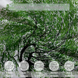 Single 61" x 79" Bedding Duvet Cover Set - Green Natural Minimalist Tree Printed 3 Piece Brushed Microfiber Comforter Quilt Cover with Zipper Closure for Men and Women Generic