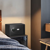 Biometric Home Safe, Fingerprint Gun Safe Lock Box,Money Box for Jewelry Handgun Cash Valuables,Perfect for Home/Office/Hotel, Black, 1.55 Cubic Feet VoleStay