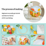 Mayboos Needle Felt Starter Set, Includes Wool Bag, Felting Needles, Foam Pad, Felt Cloth & Instructions, Pastoral Style Kit for Home Decoration Mayboos