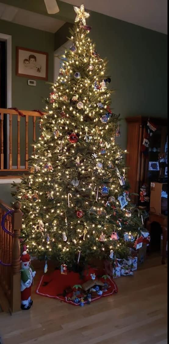 Rocky Mountain Goods Christmas Tree Stand for Live Tree with Water - Up to 8 Foot Tree - 5 Secure Eye Bolts - Steel Spike for Stability - Easy Watering for 2 Gallons - Install Real Tree in Minutes Rocky Mountain Goods