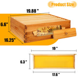 Honey Lake 10 Frame Bee Hive, Langstroth Complete Beehive Kit with Windows Dipped in 100% Beeswax with Beehive Frames and Waxed Foundations (1 Deep Brood Bee Hive Box & 1 Medium Super Bee Box) Honey Lake