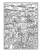 Creative Haven Country Gardens Coloring Book (Adult Coloring Books: In The Country) Dover Publications