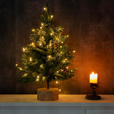 ZELUXDOT Fairy Lights Plug in,660FT 2000 LEDs Waterproof String Lights,Green Copper Wire,LED Lights Stirp with Remote 8Modes for Indoor Outdoor Christmas Wedding Birthday Patio Garden Decor,Warm White ZELUXDOT