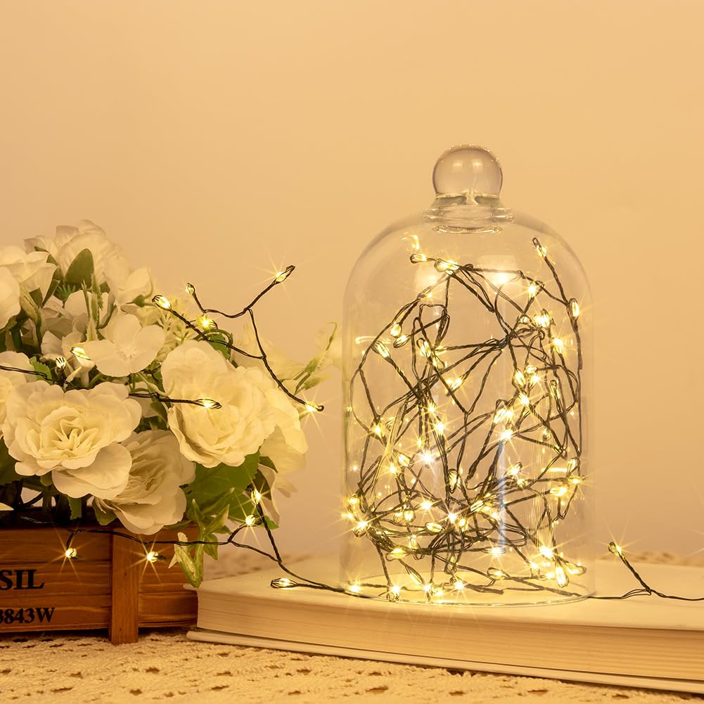 ZELUXDOT Fairy Lights Plug in,100FT 1000 LEDs Waterproof String Lights,Green Wire,Firecracker Lights with Remote 8Modes for Indoor Outdoor Christmas Wedding Birthday Patio Garden Decor,Warm White ZELUXDOT