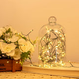 ZELUXDOT Fairy Lights Plug in,100FT 1000 LEDs Waterproof String Lights,Green Wire,Firecracker Lights with Remote 8Modes for Indoor Outdoor Christmas Wedding Birthday Patio Garden Decor,Warm White ZELUXDOT