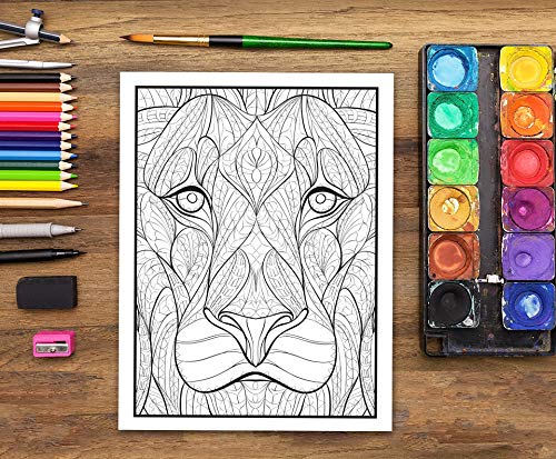 Fantastic Animals: A Wild Adult Colouring Book