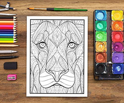 Fantastic Animals: A Wild Adult Colouring Book