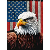 hill froeistung Eagle Diamond Art Painting Kits for Adults,Flag Diamond Art for Beginners, 5D DIY Full Drill Round Gem Art Craft Home Wall Decor Gift 12x16 inch,Bird hill froeistung