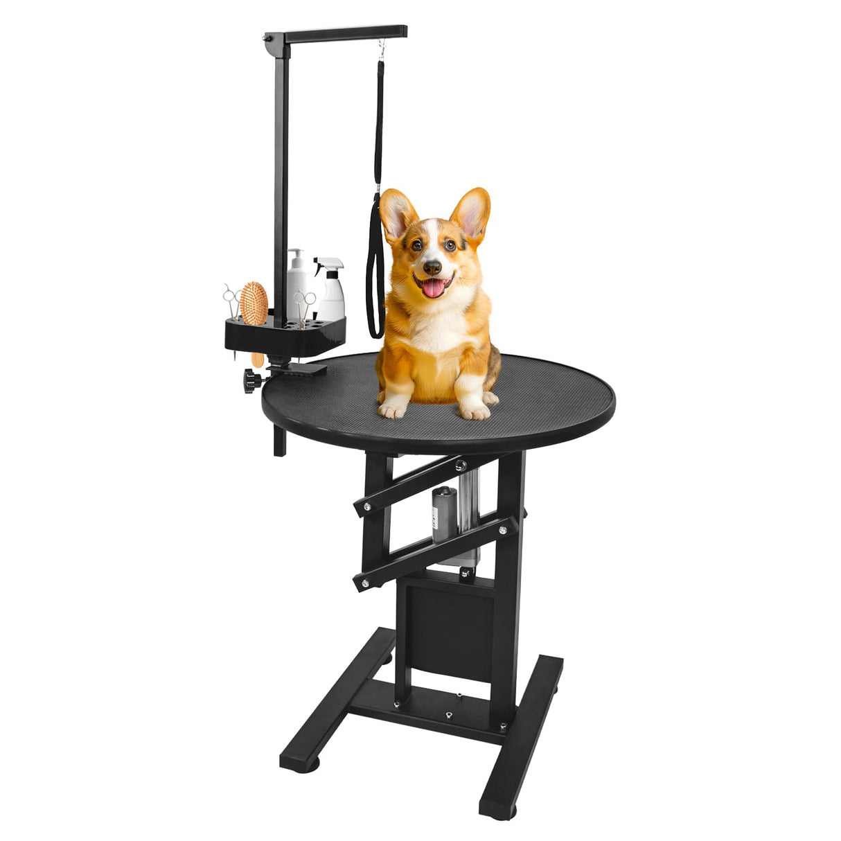 SHMQYSY Electric Dog Grooming Table, Height Adjustable Pet Grooming Table for Small Dogs at Home, Professional Electric Lift Table with Anti-Scratch Tabletop and Foldable Arm (24", Black) SHMQYSY