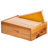 8-Frame Beehive Box Langstroth Medium Super Bee Box for Sale Wax Coated Bee Hives Includes Wooden Frames & Waxed Foundations (Unassembled) MayBee