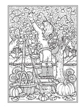 Creative Haven Autumn Harvest Coloring Book (Adult Coloring Books: Seasons) WoodArtSupply
