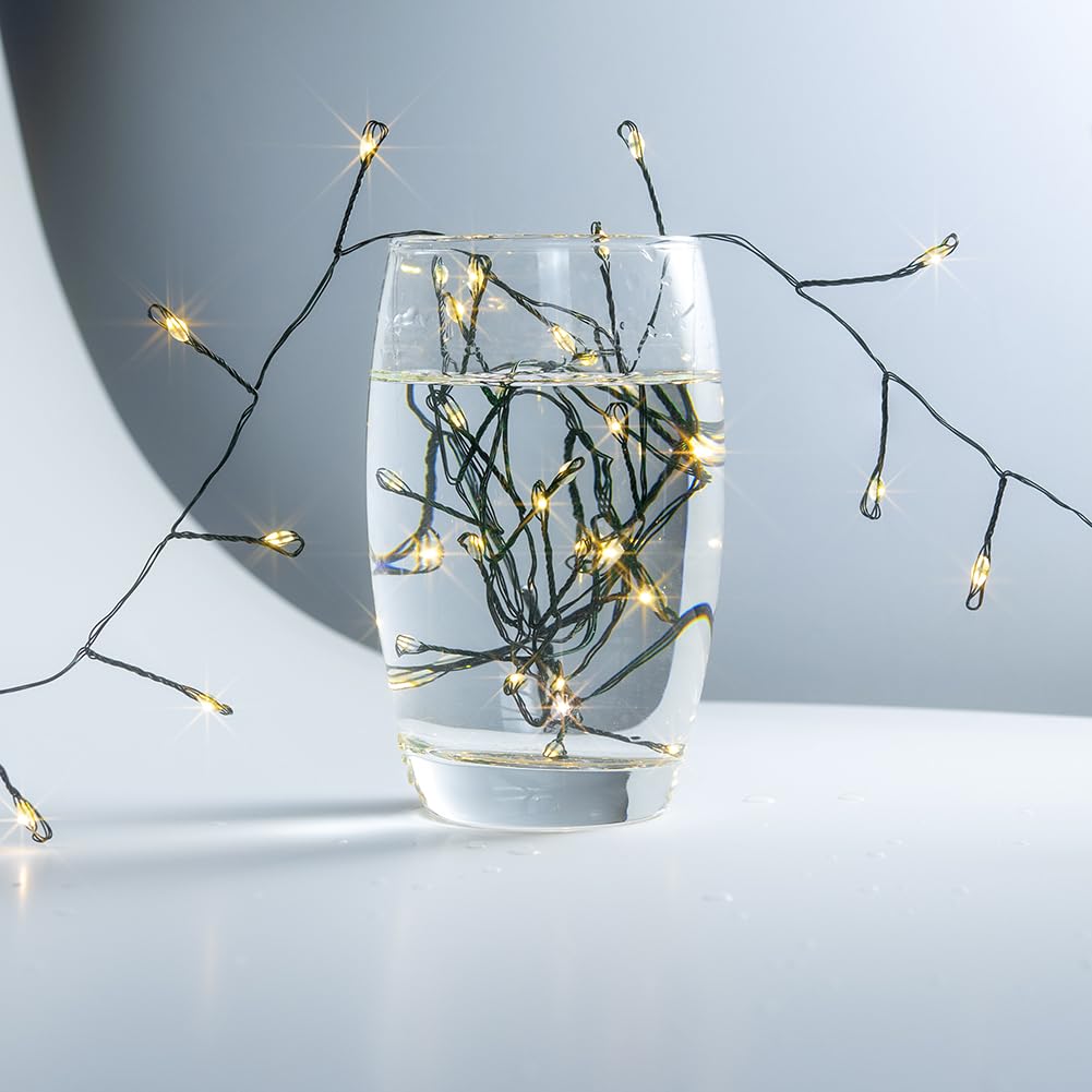 ZELUXDOT Fairy Lights Plug in,100FT 1000 LEDs Waterproof String Lights,Green Wire,Firecracker Lights with Remote 8Modes for Indoor Outdoor Christmas Wedding Birthday Patio Garden Decor,Warm White ZELUXDOT