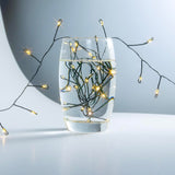 ZELUXDOT Fairy Lights Plug in,100FT 1000 LEDs Waterproof String Lights,Green Wire,Firecracker Lights with Remote 8Modes for Indoor Outdoor Christmas Wedding Birthday Patio Garden Decor,Warm White ZELUXDOT