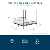 Novogratz NA Novogratz