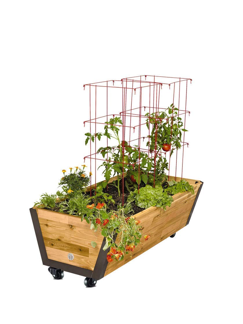 GBL 2" Heavy Duty Caster Wheels Without Brakes + Screws - up to 440Lbs - Set of 4 No Floor Marks Silent Castor for Furniture - Rubbered Trolley or Pallet Swivel Wheels - Black Casters GBL