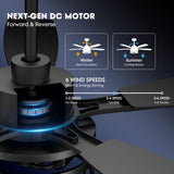 Nuoqiso 52 Inch Ceiling Fans with Lights and Remote Control, Farmhouse Ceiling Fan with LED Lighting for Bedroom Living Room and Patio, Black Caged Ceiling Fan for Indoor and Outdoor(NO Bulbs) Nuoqiso