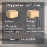 SOLIDEE 30-Inch Black and White Wall Mounted Bathroom Vanity Cabinet with 2 Drawers and Blue Boat Glass Sink SOLIDEE