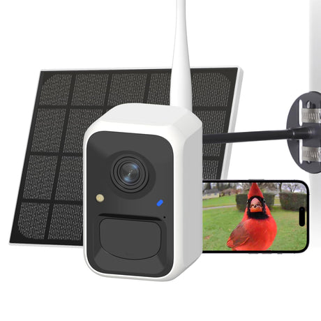 NETVUE by Birdfy Upgraded Smart Bird Feeder Camera, Solar Powered, Auto Bird Video Capture, Instant Notifications, AI Identify 6000+ Species NETVUE