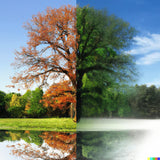 Zariocy 5D Diamond Art Kits for Adults Basketball Fire, DIY Diamond Painting Art Round Full Drill Crystal Diamond Embroidery Paintings Arts Craft for Home Office Wall Decor 12x16 inch Zariocy