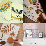 ECOHOME Flower Press Kit for Preserving Plants and Pressed Flowers - Empower Your Creativity with Botanical Art & Craft Supplies to Preserve Cherished Nature Memories ECOHOME