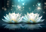 pigpigboss Water Drop Lotus Flower Diamond Painting Art Kit, 5D Full Round Drill Crystal Lotus Flower Diamond Art Set for Adult Beginner Home Office Holiday Wall Decor (16 x 12 inches) pigpigboss