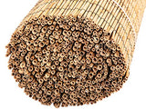 FOREVER BAMBOO Jumbo Reed Bamboo Screen Fencing Privacy Fence Backyard Divider Decorative Reed Garden Fencing, Natural 6 ft H x 16 ft L FOREVER BAMBOO