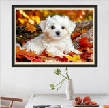 MaiYiYi Full Square Diamond Painting Kits, Cute White Dog Diamond Painting by Numbers for Adults, Crystal Maple Leaf Dog Diamond Painting Arts Crafts for Adult Beginners (11.8 x 15.7 inches) CooolPlus