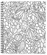 Large Print Easy Color & Frame - Stress Free (Adult Coloring Book) New Seasons