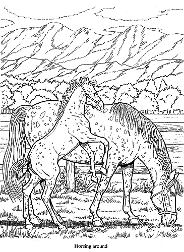 Wonderful World of Horses Coloring Book (Dover Animal Coloring Books)