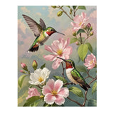 ACIOPPL Paint by Numbers for Adults Beginner Hummingbird DIY Acrylic Painting Kits Bird Oil Painting by Number Kit Bird Drawing Paintwork Acrylic Paint Canvas for Home Wall Decor Flower Hummingbird Generic