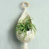Leisure Arts Macrame Plant Pouch Kit for Adults Beginners - DIY Plant Hanger LEISURE ARTS