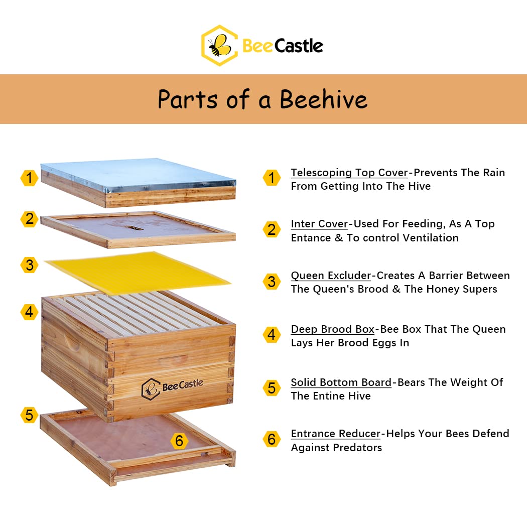 BeeCastle 10-Frame Bee Hives and Supplies Starter Kit,Beehive Kit Dipped in 100% Beeswax,Bee Keeping Supplies-All Beginners Kit Includes Beekeeping Supplies Tool Set and Bee Suit. BeeCastle