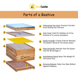 BeeCastle 10-Frame Bee Hives and Supplies Starter Kit,Beehive Kit Dipped in 100% Beeswax,Bee Keeping Supplies-All Beginners Kit Includes Beekeeping Supplies Tool Set and Bee Suit. BeeCastle