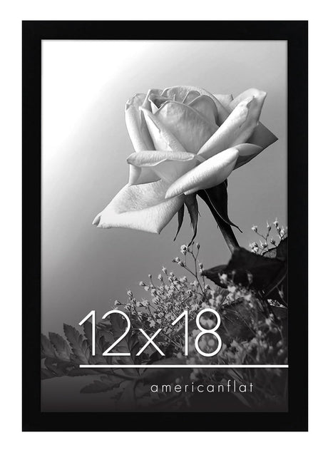 Americanflat 12x18 Poster Frame with Polished Plexiglass - Black Picture Frame with Engineered Wood - Epic Collection - Wide Photo Frame for Wall Display Americanflat