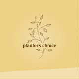 Bonsai Starter Kit - Gardening Easter Gift for Women & Men - Bonsai Tree Growing Garden Crafts Hobby Kits for Adults, Unique DIY Hobbies for Plant Lovers - Unusual Christmas Gifts Ideas Planters' Choice