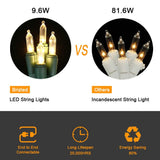 Brizled Warm White LED Christmas Lights, 2 Pack 33ft 100 Lights, Connectable for Trees, Home, Party, Indoor and Outdoor Decor Brizled