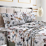 Tribeca Living Deep Pocket King Size Sheet Set - 300 Thread Count Cotton Sateen Sheets with 22-Inch Extra Deep Pockets, Oeko-Tex Certified, 4 Bedding Set in Amalfi Deep Red/Multi Print Tribeca Living