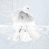 ELEGOO Water Washable 3D Printer Resin, 405nm Rapid UV Curing Standard Photopolymer Resin, Easy to Clean, High Precision 3D Water Wash Resin for LCD/MSLA/DLP 3D Printer Printing, White 1000G Deeplee