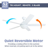 Prominence Home Ashby Modern 52 Inch Ceiling Fan with Light, LED Fan with Remote Control, Tri-Mount Indoor Fan with 5 Blades, White and Gray Oak Blade Finish Options, Farmhouse White (80094-01) Prominence Home