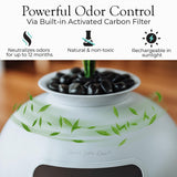 Secret Litter Box by Bundle & Bliss - Hidden Litter Box Enclosure, Patented Design with Odor Control, Includes Faux Plant, Carbon Filter and Real Stones Vivid White Bundle & Bliss